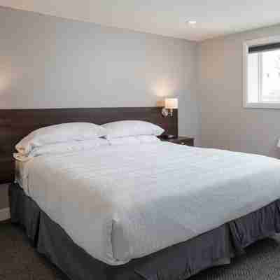 Picton Harbour Inn Rooms