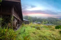 Red Panda Manor Pu’re