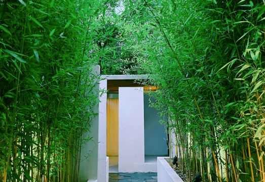 Qianyun Peninsula Forest Private Tang Holiday Courtyard 썸네일