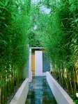 Qianyun Peninsula Forest Private Tang Holiday Courtyard - Villas