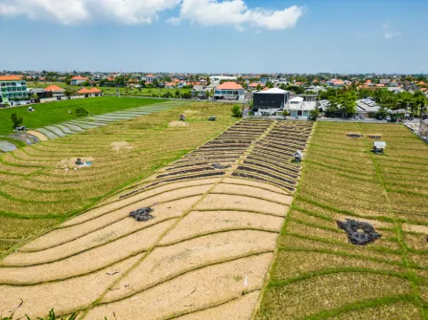 Special Nyepi Offer! Jungle Amaranth Villa Canggu – Exclusive 3BR Retreat with Pool بالقرب من الفندق Photos