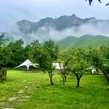 Yuntai Mountain Azalea Green Meadow Resort Hotel