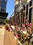 HaiLaiJu Homestay Hotels near Reclining Buddha of the East Sea