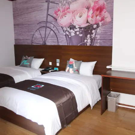 Pai Hotel (Guangping Shuangli Mansion Branch)