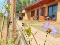 韶山憶·山居民宿（韶山景區店）