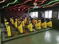 Jinling International Hotel TaiXing CHINA - Gym