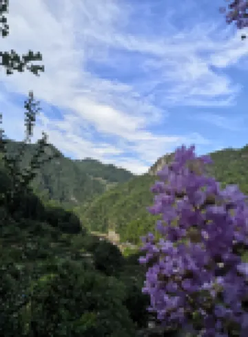 白水洋馬鞍農家樂