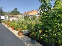 Dorongi Guest House
