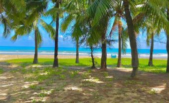 Meet Summer Seaview Apartment