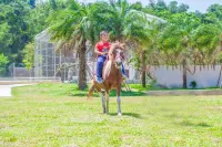 Nandanshan Stars Retreats