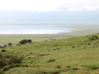 Neptune Ngorongoro Luxury Lodge Hotels in Karatu