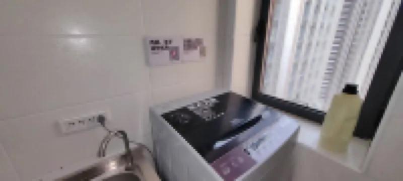 Morning Blossoms Gathered at Dusk Youth Hostel