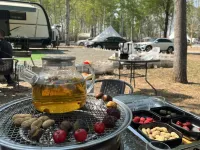 Wotu RV Park (Beijing Wildlife Park Daxing International Airport)