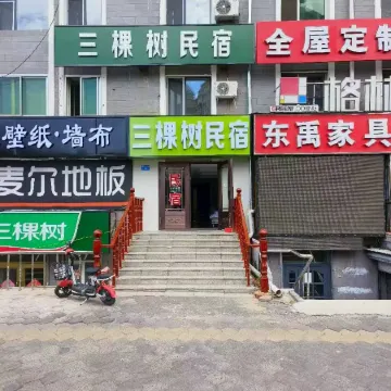 Three Trees Homestay