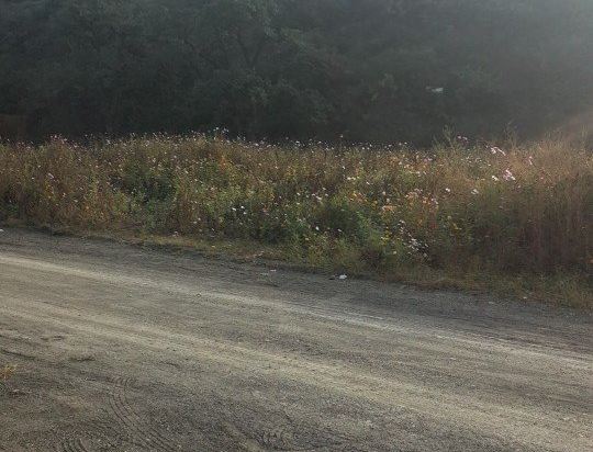 天津艷雨陽農家院優惠