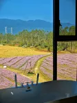 Micang Xiaozhu Homestay - Mountain view