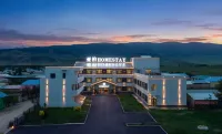YABAI HOMESTAY - bar