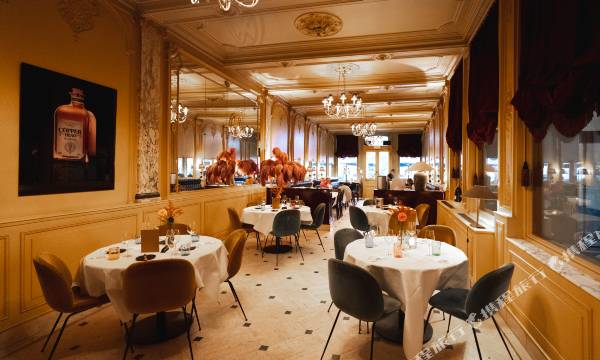 Hotel Damier