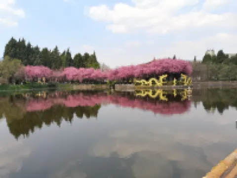 昆明興華飯店（滇池旅遊度假區店） 西山風景名勝區附近的飯店