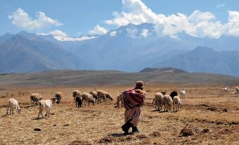 Las Casitas, A Belmond Hotel, Colca Canyon