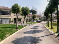 Pengzhou Jinrui Sunshine Hotel(Longxing Temple Store) - 4 stjerner