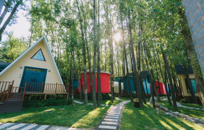 LinShe Treehouse Homestay