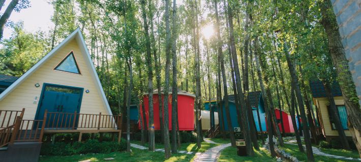 LinShe Treehouse Homestay Hotels in Fenyang