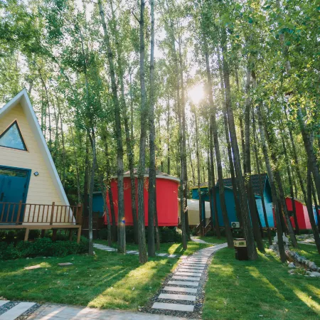 LinShe Treehouse Homestay