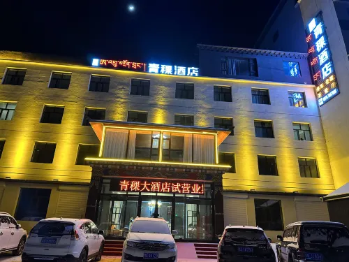 Zadoi Qingke Hotel Hotels in Zadoi