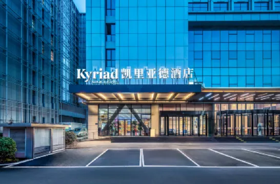 凱里亞德酒店（天津空港濱海國際機場店） 天津酒店