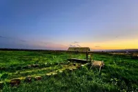 Jingmi Yiju Homestay (Chilechuan Grassland Music Town) - Homestays