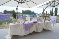 Huocheng Zhenxia Homestay (Huanghuang Village) Hotels in Huocheng