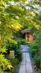 Mountain View Retreat
