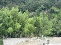 Xiyuan Homestay