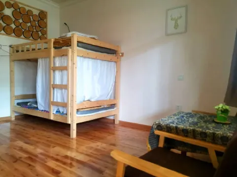 The moonbirds hostel