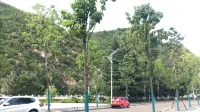 Luanchuan Yunyin Shanshe Hotel (Laojunshan Fenghuang Tianjie Branch)
