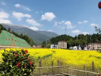 Jing'an Daoyuan Homestay Hotels in Jing'an