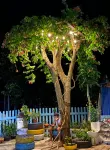 Wanning Wuyiqi Homestay