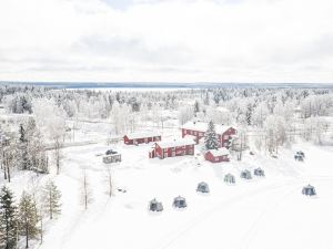 Arctic Guesthouse & Igloos