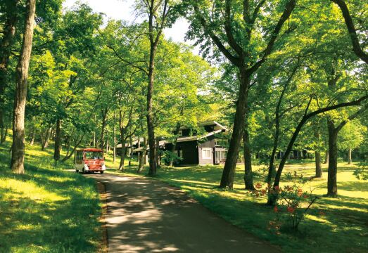 2. 가루이자와 프린..