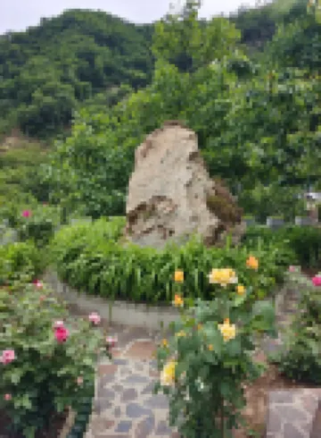 山水林間民宿