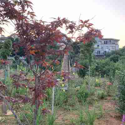 Liuye Lake Xingfu Bridge Guesthouse Hotel Exterior