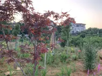 Liuye Lake Xingfu Bridge Guesthouse Hotels in Daxiaohe Street/Liuye Lake Tourist Resort