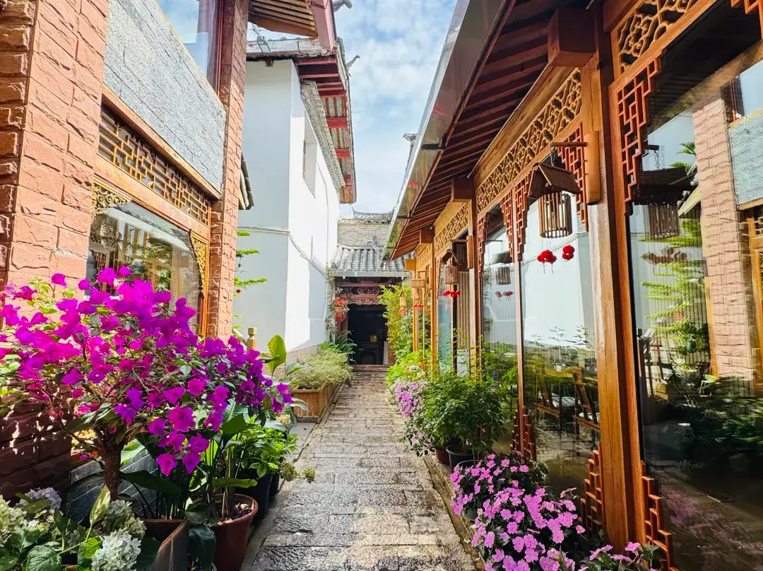 Yunnan Namei Rizhao Jinshan View Snow Mountain Panoramic Beauty Su - Lijiang