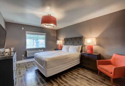 오아시스 앳 골드 스파이크