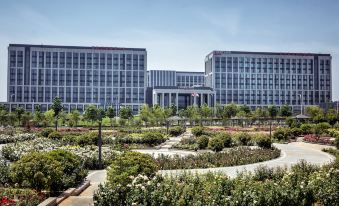 Courtyard Mariott Zhenzhou Airport