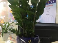 连州东陂油茶客栈 - 其他