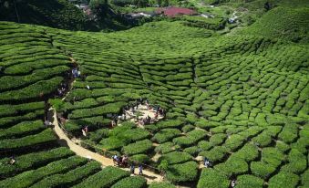 The Smokehouse Hotel & Restaurant Cameron Highlands