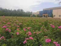 Zepkin Lake Yang Resort