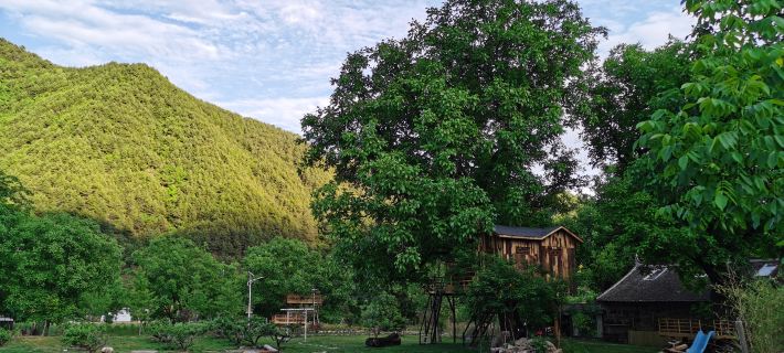 Nut Tree Country House Hotels in Lantian
